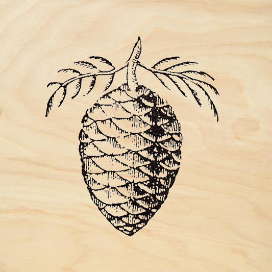 StampaFe Sequoia Cone Rubber Stamp