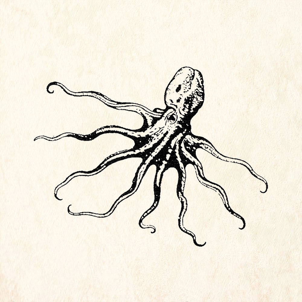 StampaFe Octopus Drifting Sea Life Rubber Art Stamp