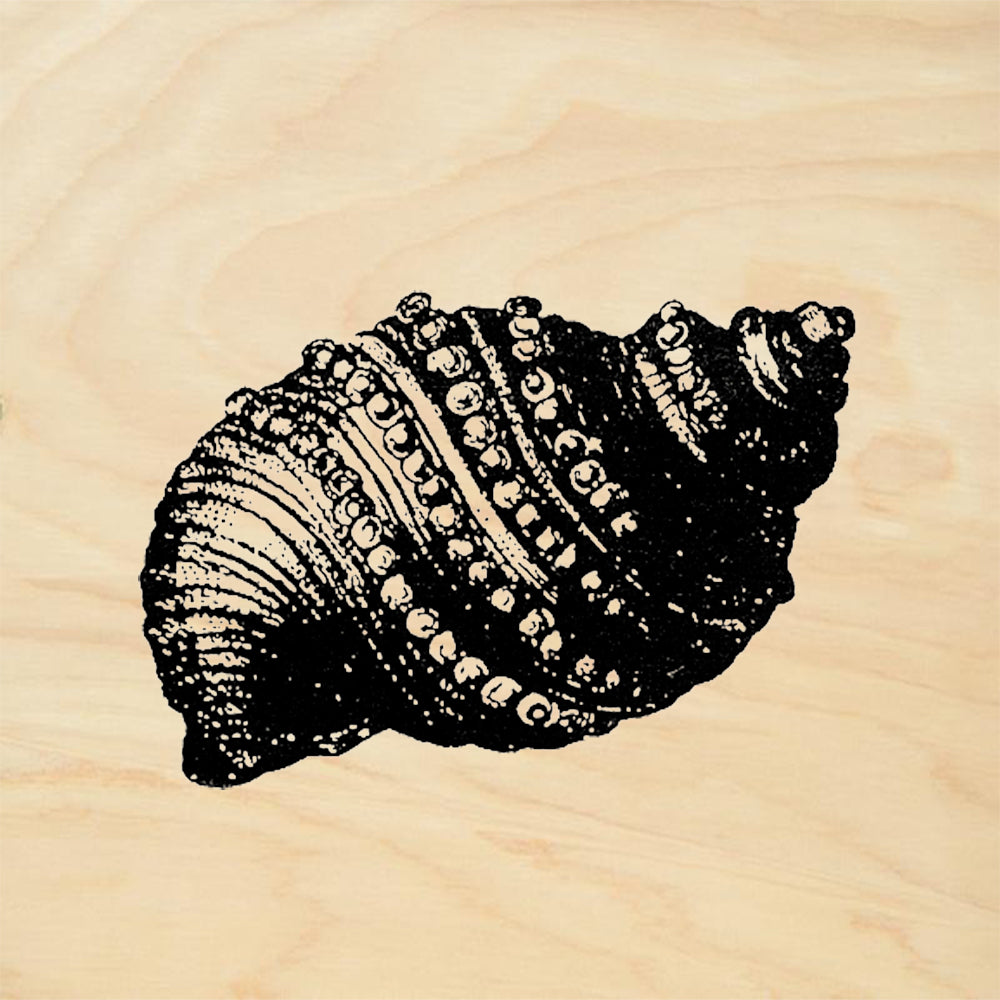 StampaFe Dark Shell Big Rubber Art Stamp