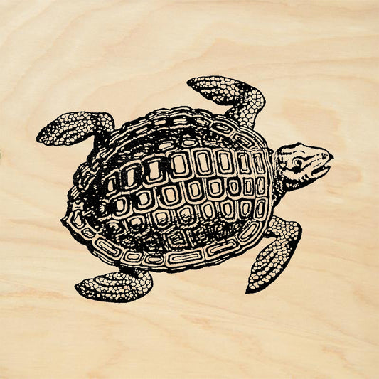 StampaFe Sea Turtle Rubber Art Stamp