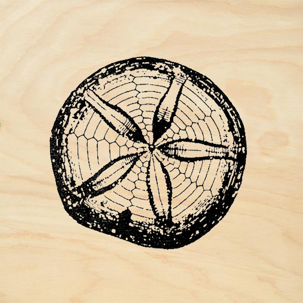 StampaFe Sand Dollar Rubber Art Stamp