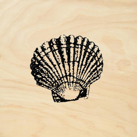 StampaFe Scallop Shell Little Rubber Art Stamp