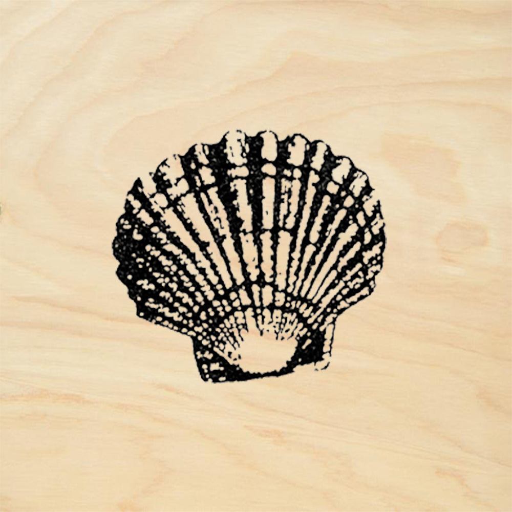 StampaFe Scallop Shell Little Ribbed Seashell Rubber Art Stamp