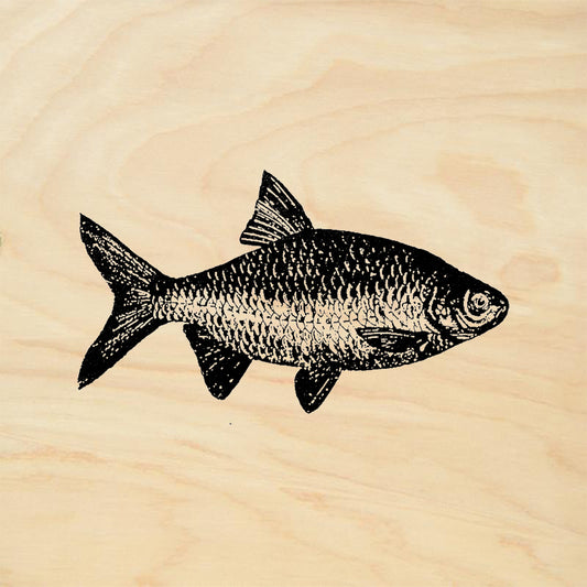 StampaFe Carp Fish Rubber Art Stamp