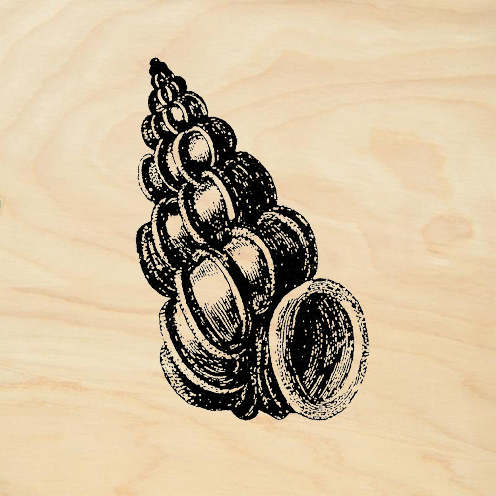 StampaFe Ridged Spiral Shell Rubber Art Stamp