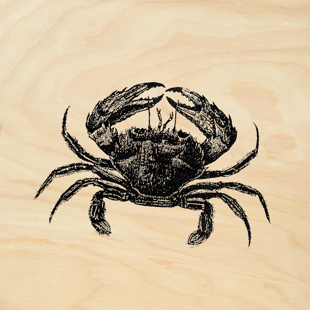 StampaFe Large Crab Detailed Sea Life Rubber Art Stamp