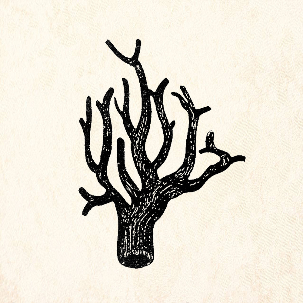 StampaFe Dark Coral Branch Ocean Reef Rubber Art Stamp