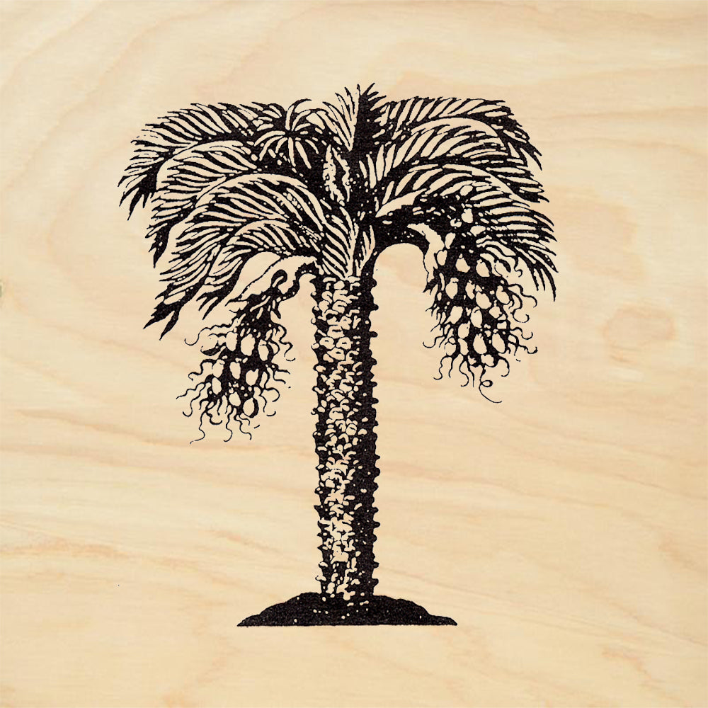 StampaFe Date Palm Tree with Fruit Rubber Art Stamp