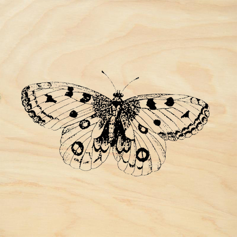 StampaFe Spotted Butterfly Rubber Art Stamp