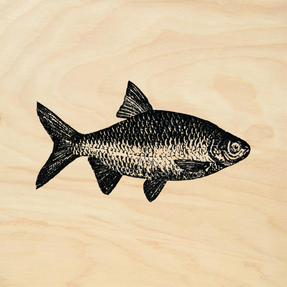 StampaFe Carp Big Rubber Art Stamp