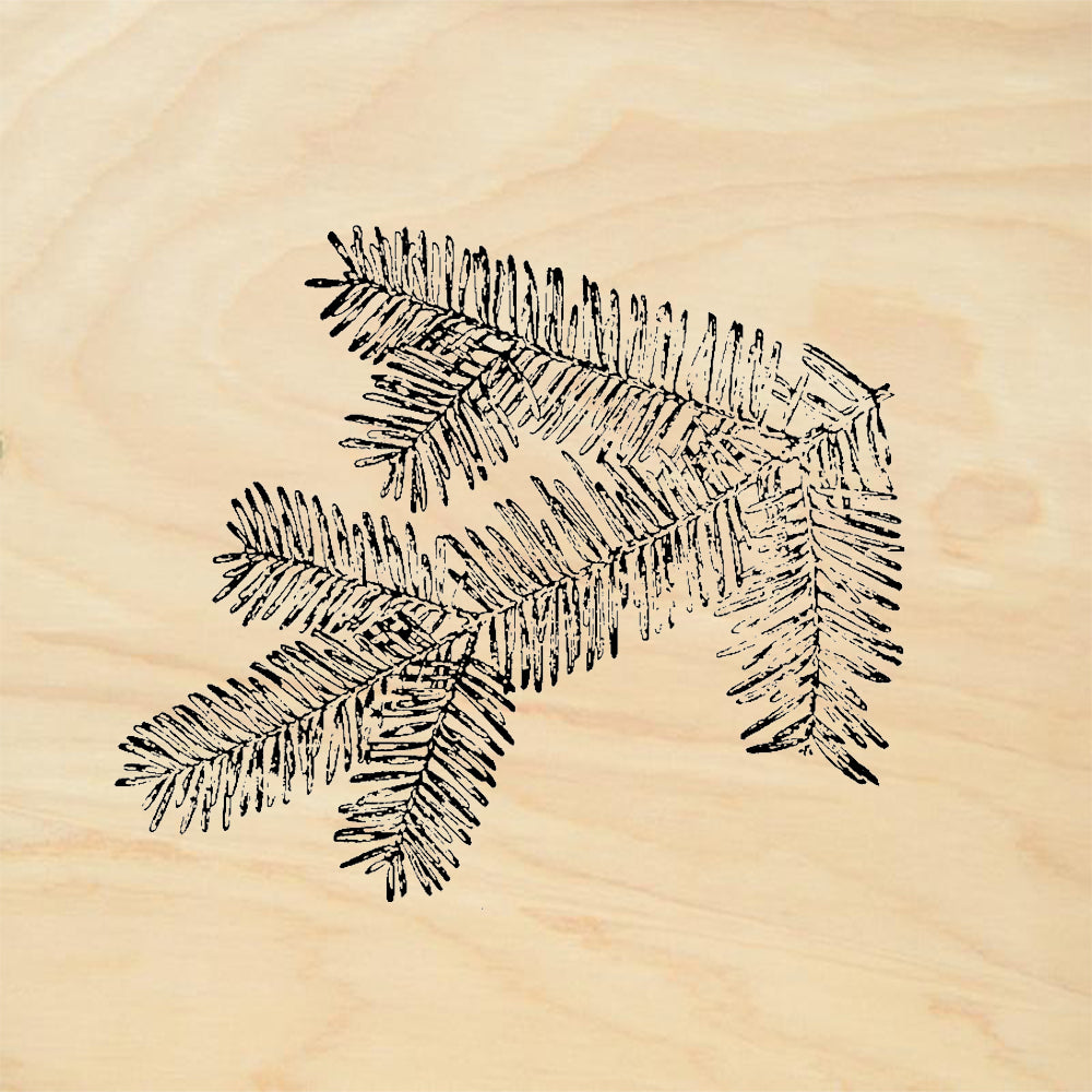 StampaFe Doug Fir Branch Rubber Stamp
