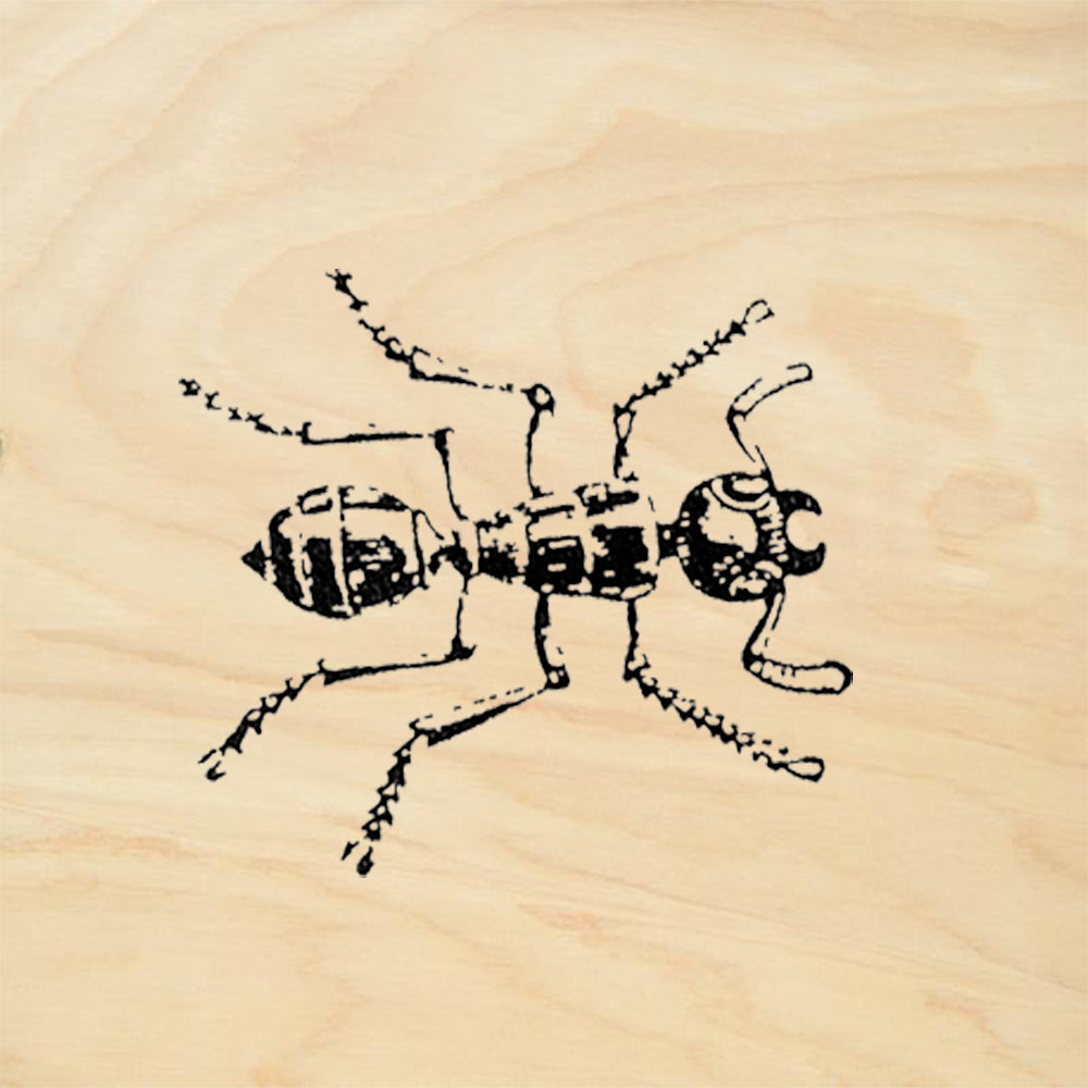 StampaFe Ant Big Rubber Art Stamp