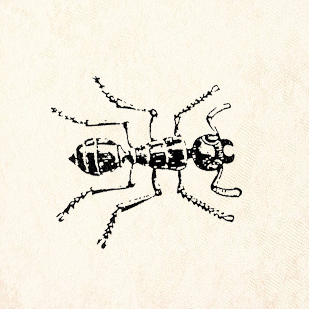 StampaFe Large Ant Detailed Insect Rubber Art Stamp