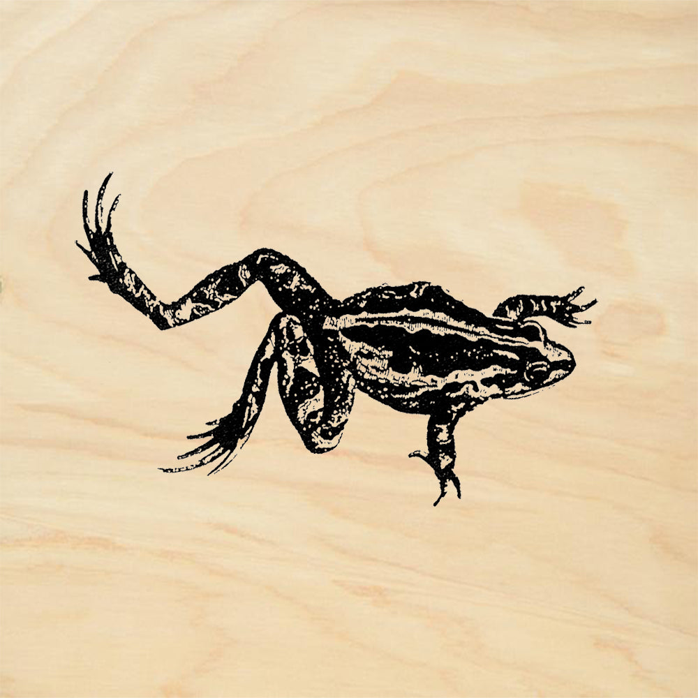 StampaFe Leaping Frog Facing Right Rubber Art Stamp