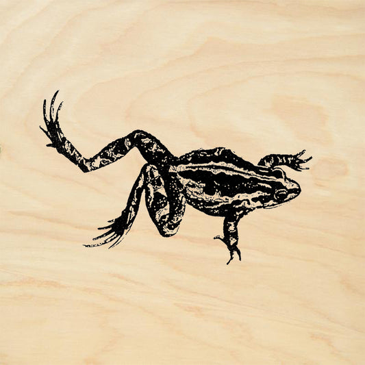 StampaFe Frog Long Right Rubber Art Stamp
