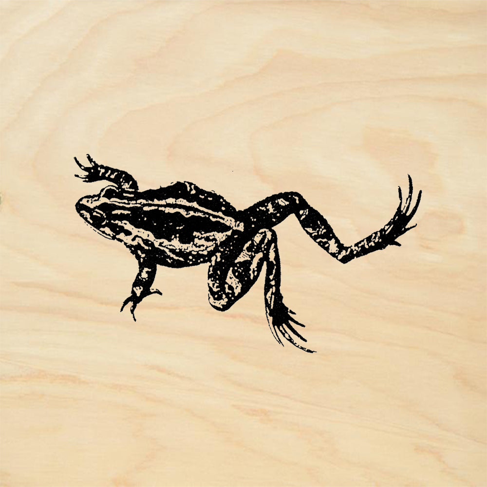 StampaFe Leaping Frog Facing Left Rubber Art Stamp