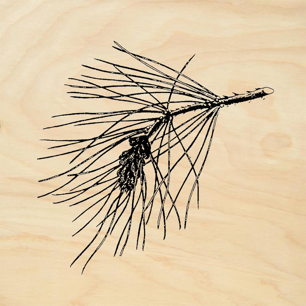 StampaFe Pine Branch Left Rubber Art Stamp