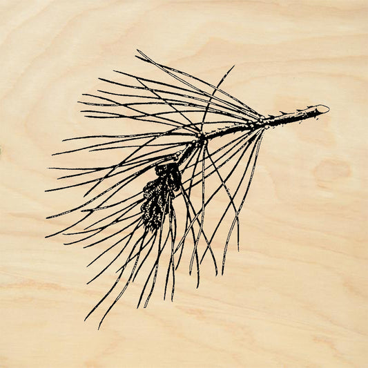 StampaFe Pine Branch Left Rubber Art Stamp