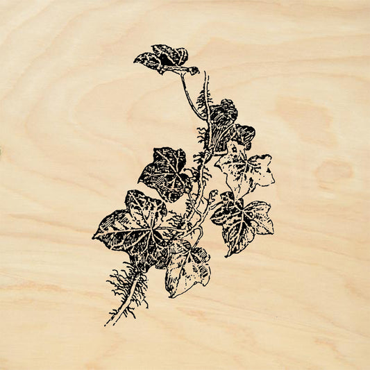 StampaFe Ivy Sprig Left Rubber Art Stamp