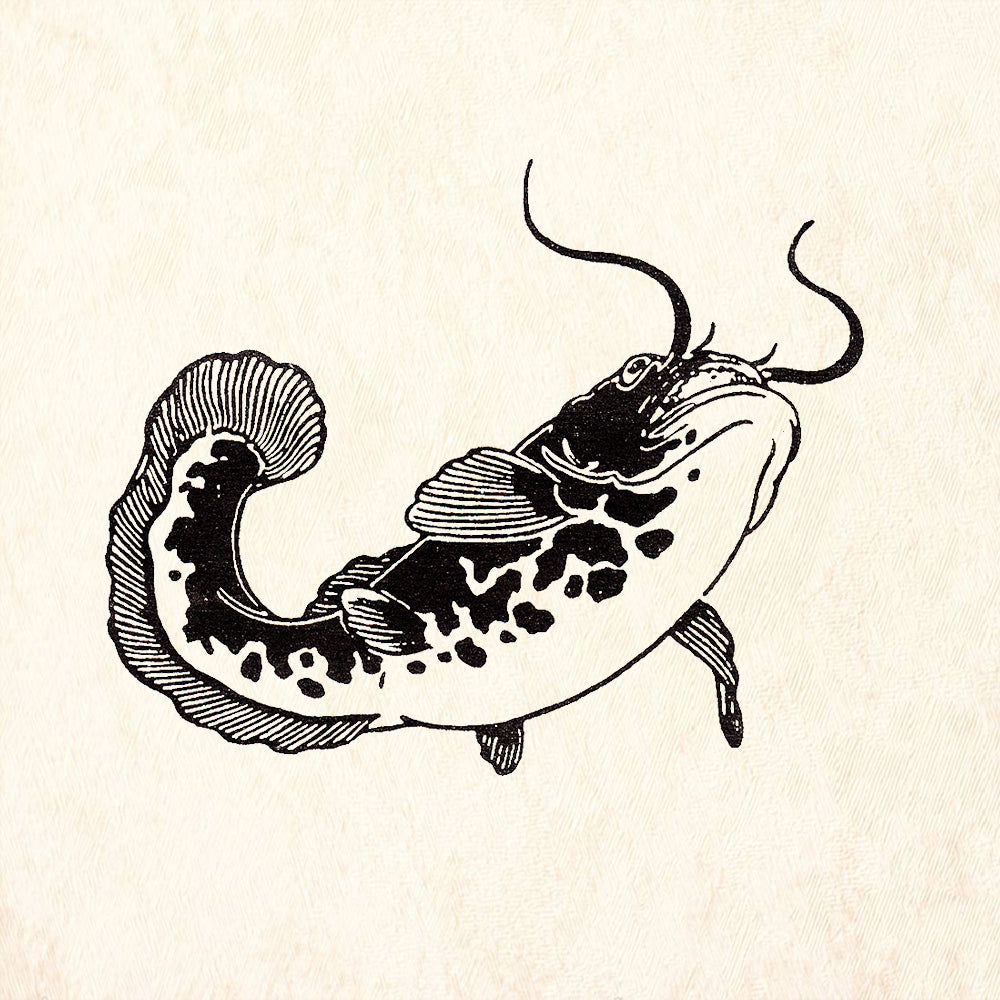 StampaFe Large Koi Carp Facing Right Japanese Fish Rubber Art Stamp
