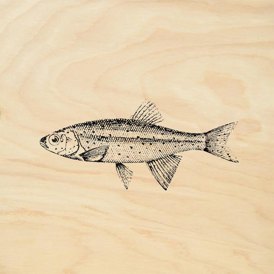 StampaFe Trout Rubber Art Stamp