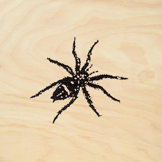 StampaFe Spider Little Fuzzy Rubber Stamp