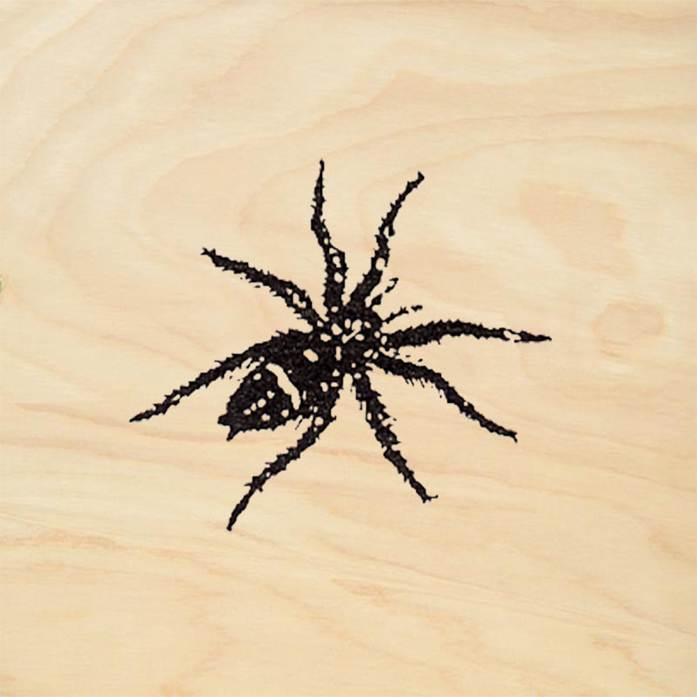 StampaFe Spider Little Fuzzy Rubber Art Stamp