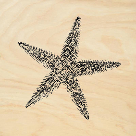 StampaFe Frilly Starfish Rubber Art Stamp