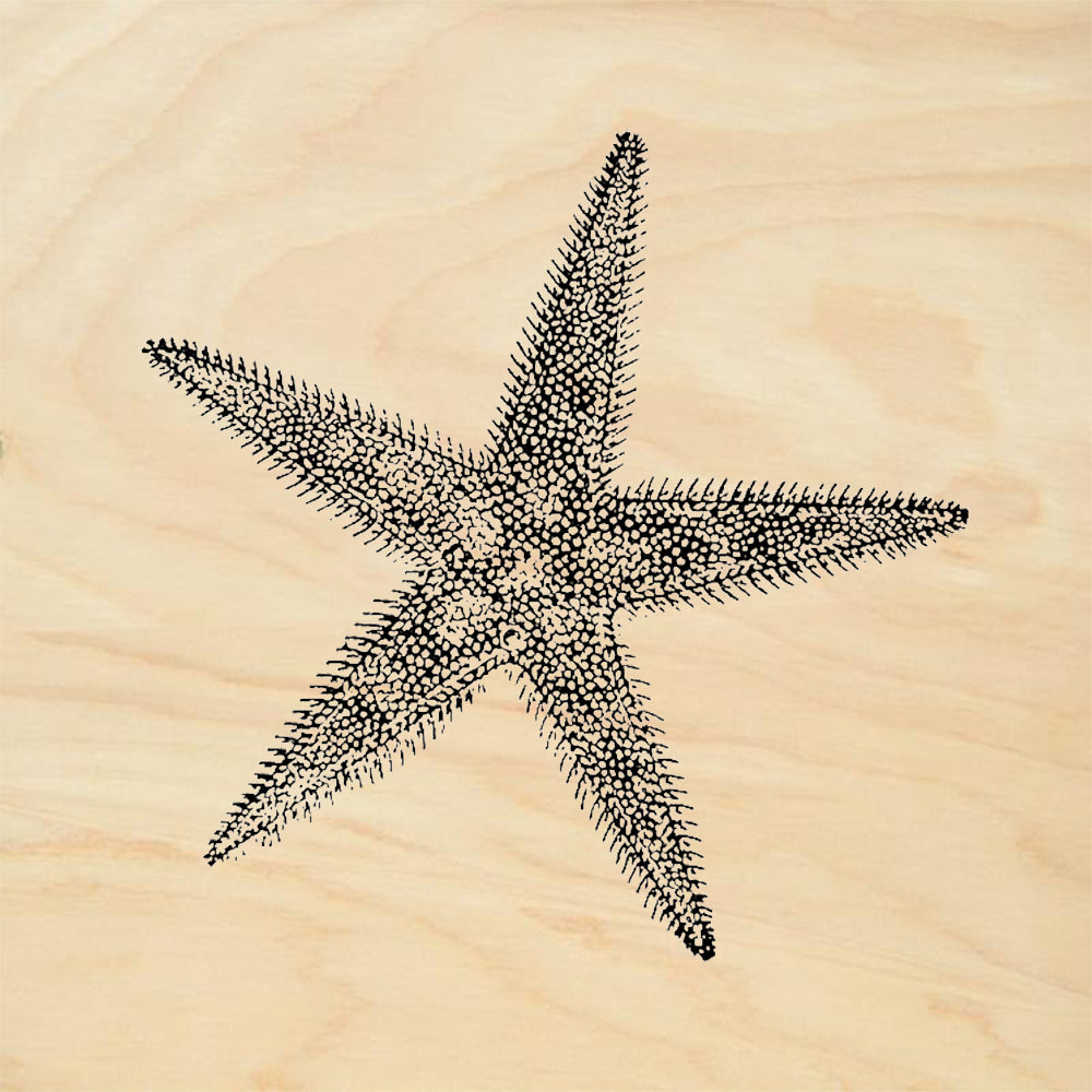 StampaFe Frilly Starfish Textured Sea Star Rubber Art Stamp