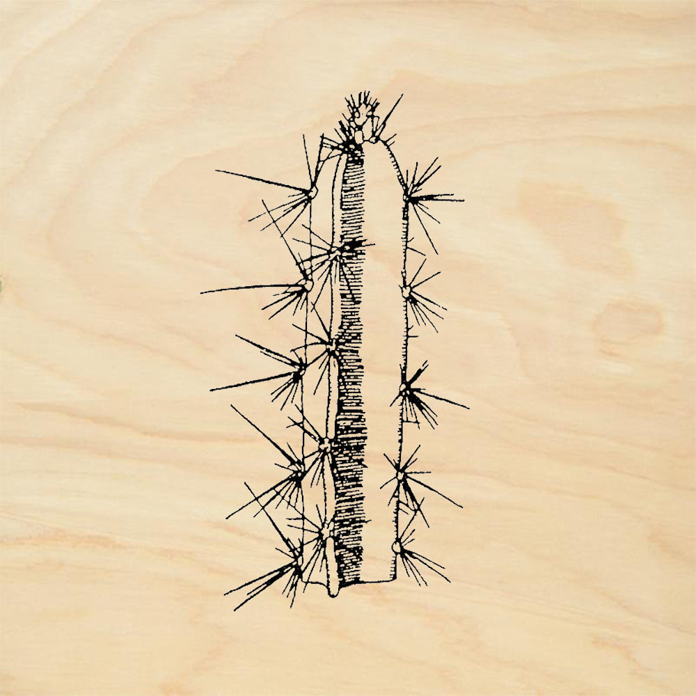 StampaFe Cactus Slim Rubber Art Stamp