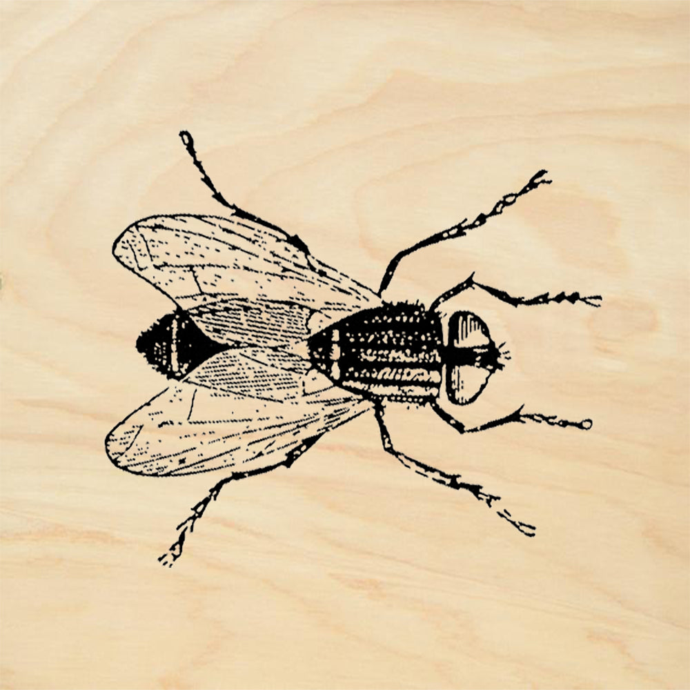 StampaFe Fly Rubber Art Stamp