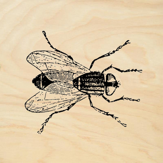 StampaFe Fly Rubber Art Stamp