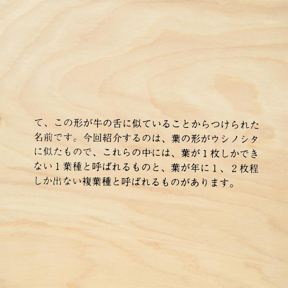 StampaFe Elevate your stamping projects with this Japanese Text Rubber Stamp