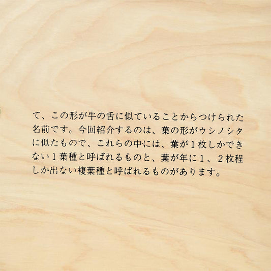 StampaFe Elevate your stamping projects with this Japanese Text Rubber Stamp