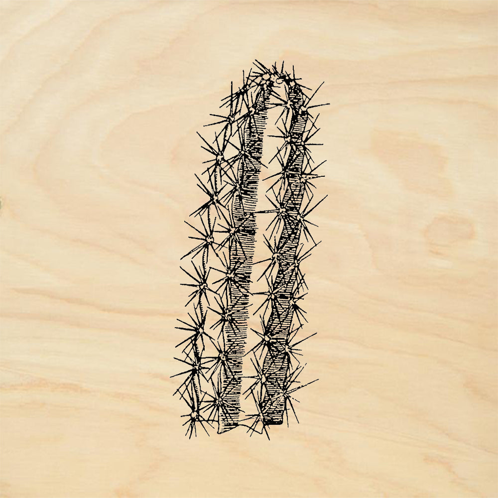StampaFe Fat Cactus Rubber Art Stamp