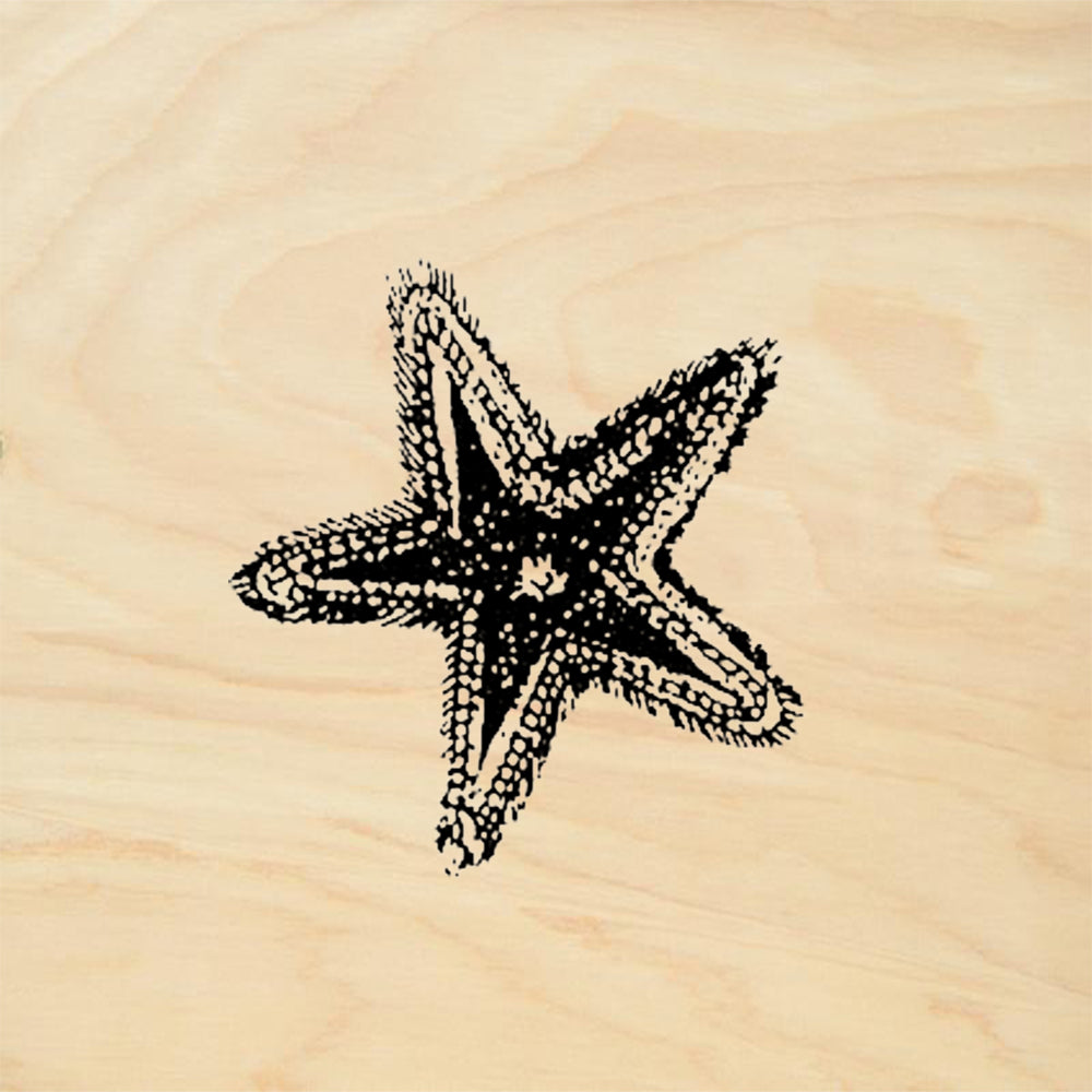 StampaFe Starfish Little Fuzzy Rubber Art Stamp