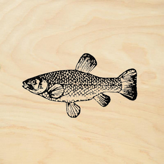 StampaFe Trout Small Rubber Art Stamp