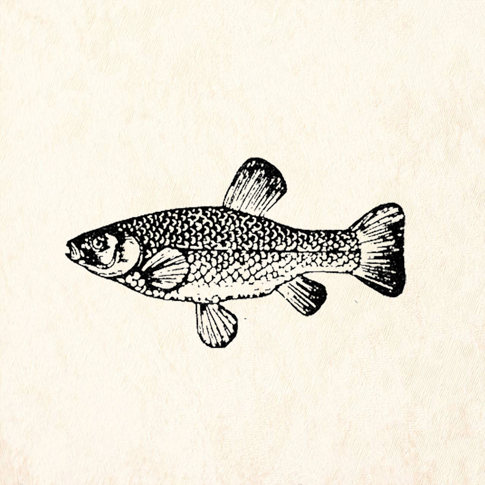 StampaFe Small Trout Rubber Art Stamp