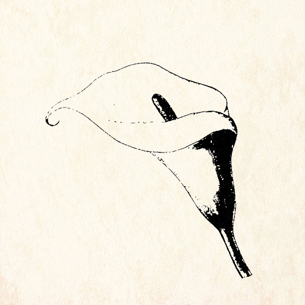 StampaFe Calla Lily Rubber Art Stamp