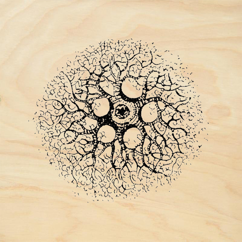 StampaFe Coral Sphere Rubber Art Stamp