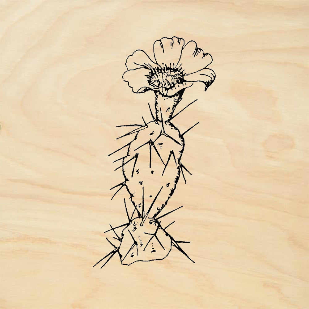 StampaFe Prickly Pear Rubber Art Stamp