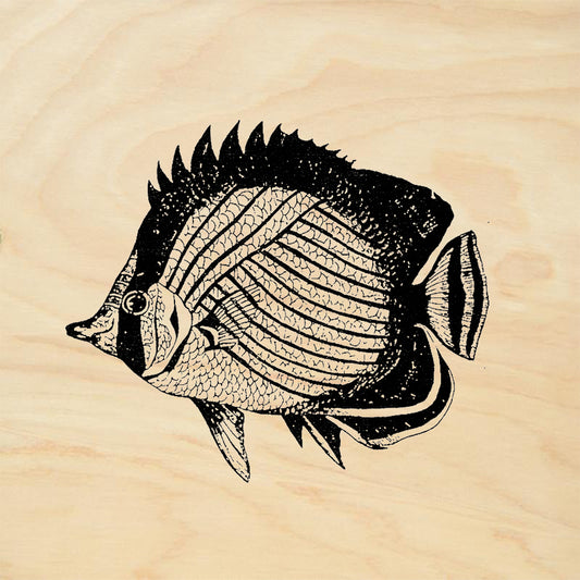 StampaFe Disk Fish Rubber Art Stamp