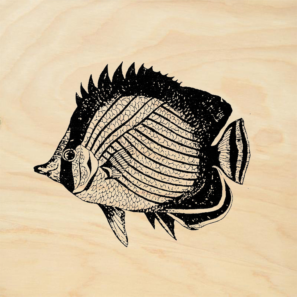 StampaFe Disk Fish Rubber Art Stamp