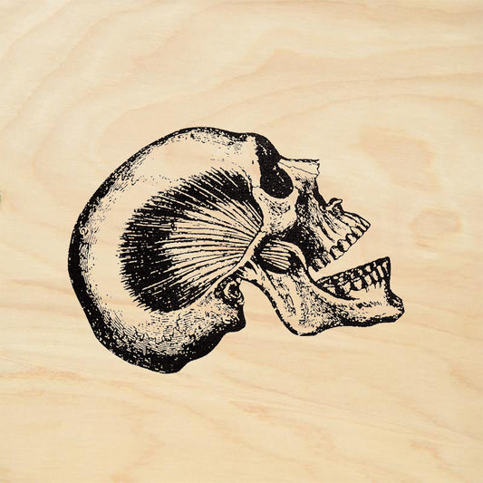 StampaFe Talking Skull Rubber Stamp