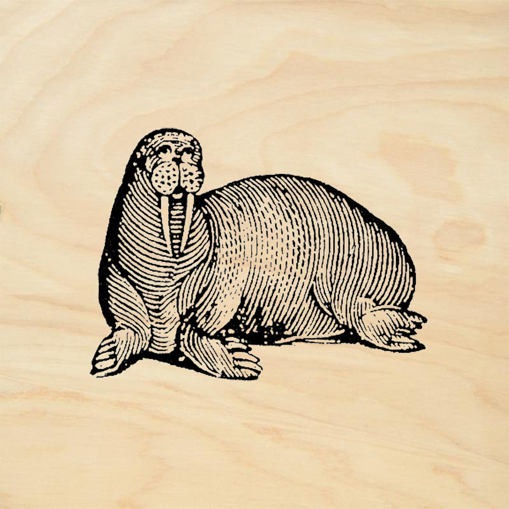 StampaFe Walrus Rubber Art Stamp