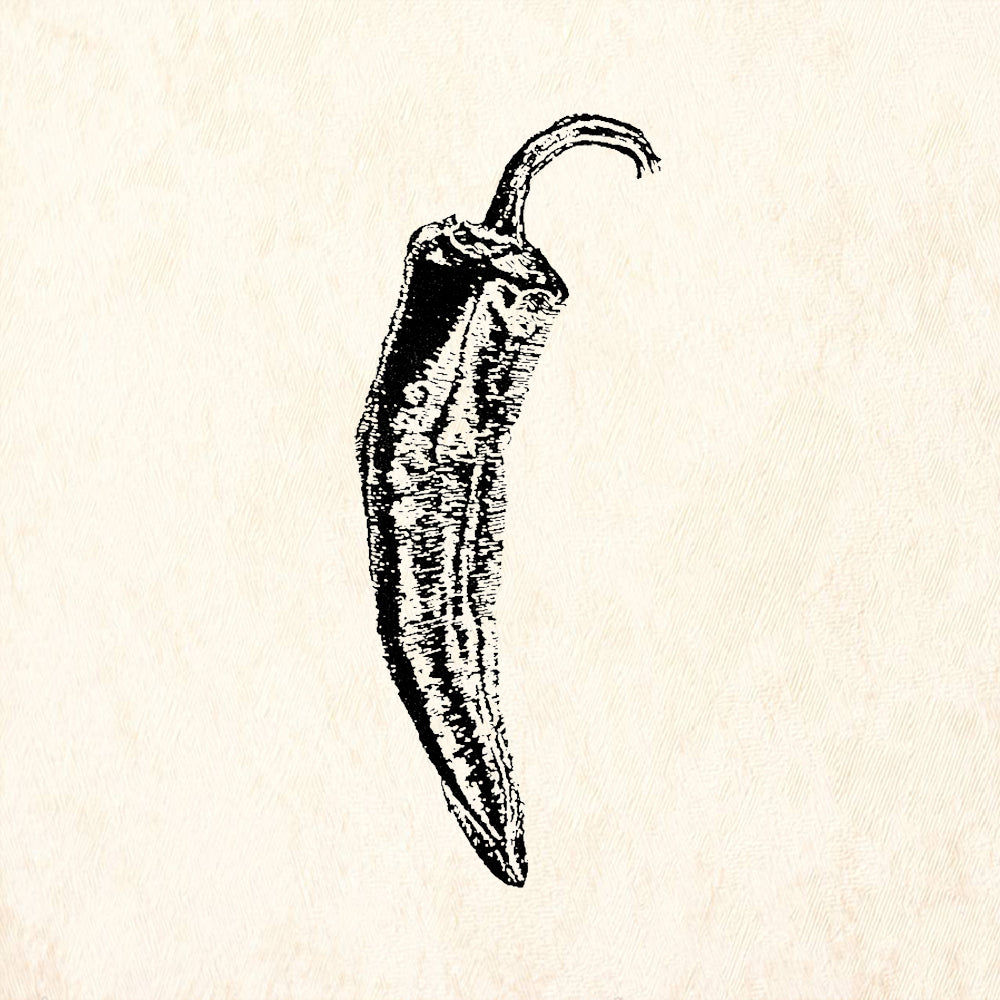 StampaFe Chile Pepper Rubber Art Stamp