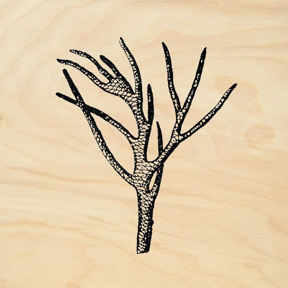 StampaFe Coral Branch Rubber Art Stamp