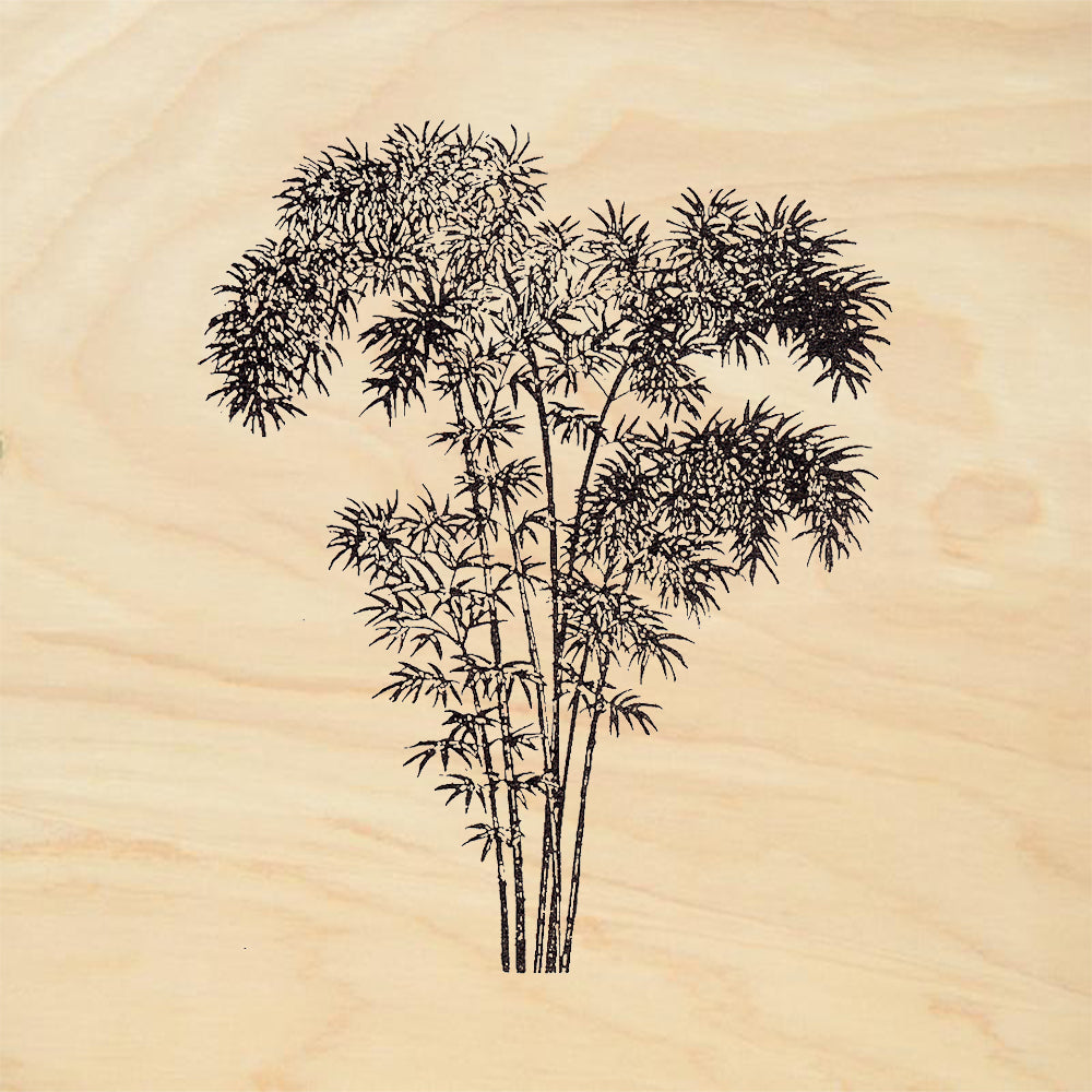 StampaFe Bamboo Grove Rubber Art Stamp