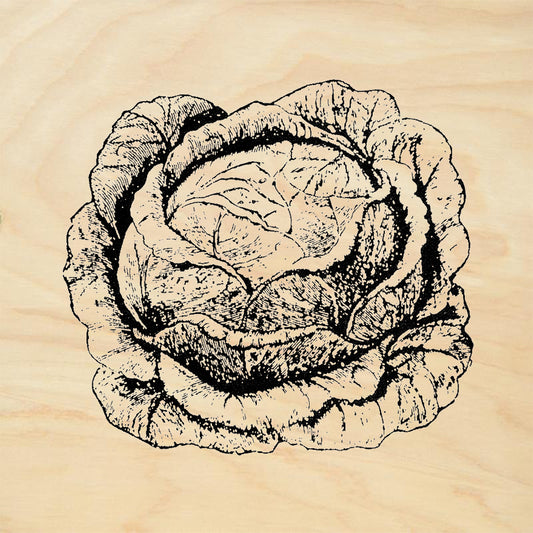 StampaFe Cabbage Rubber Art Stamp