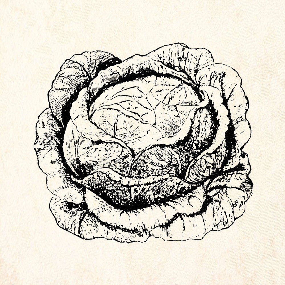 StampaFe Cabbage Rubber Art Stamp
